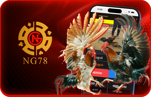 Ng78 cock fighitng